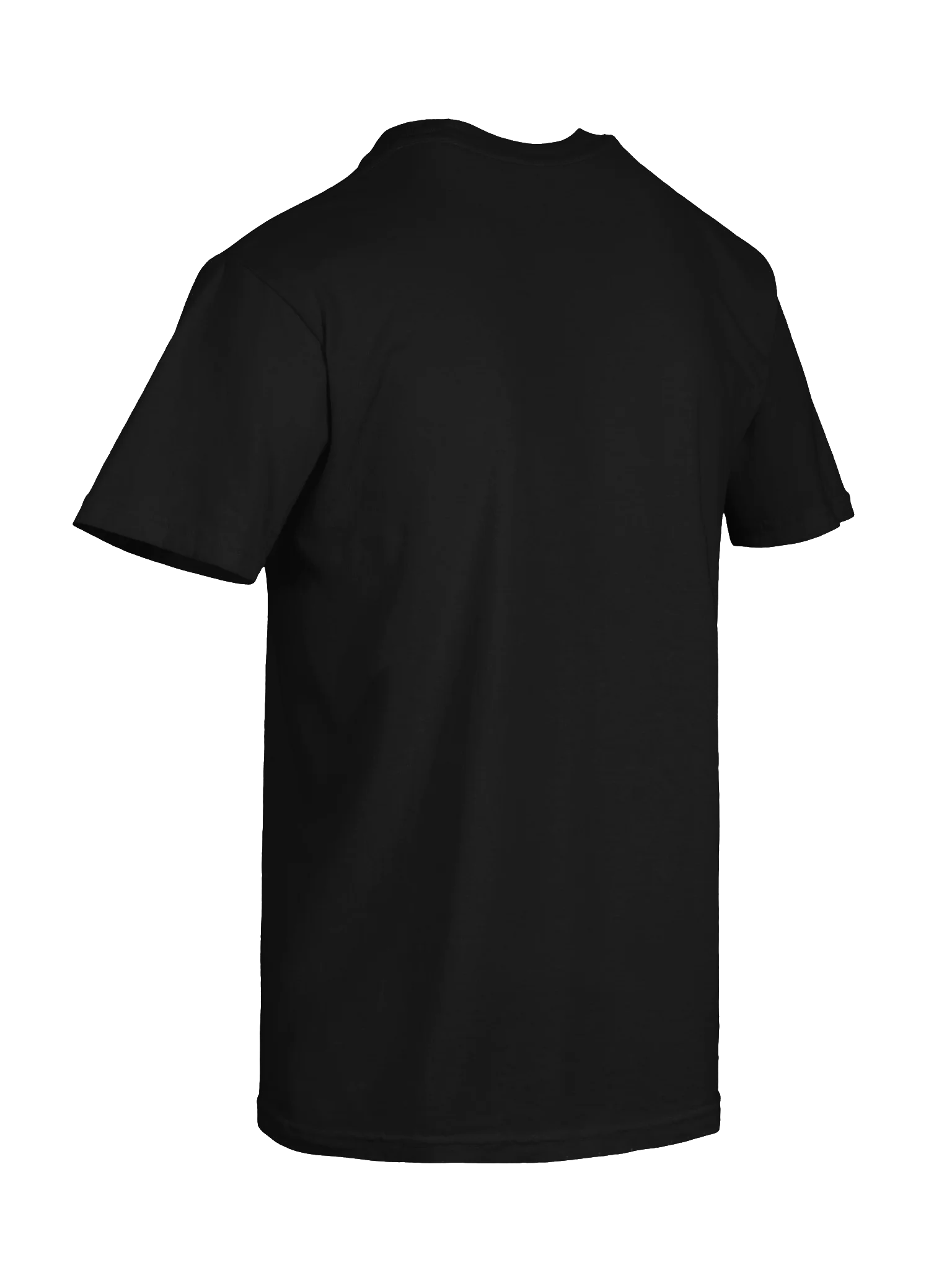 PLAIN STANDARD TEE SHIRT product image (15)