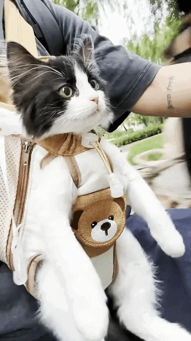 Hands Free Carry