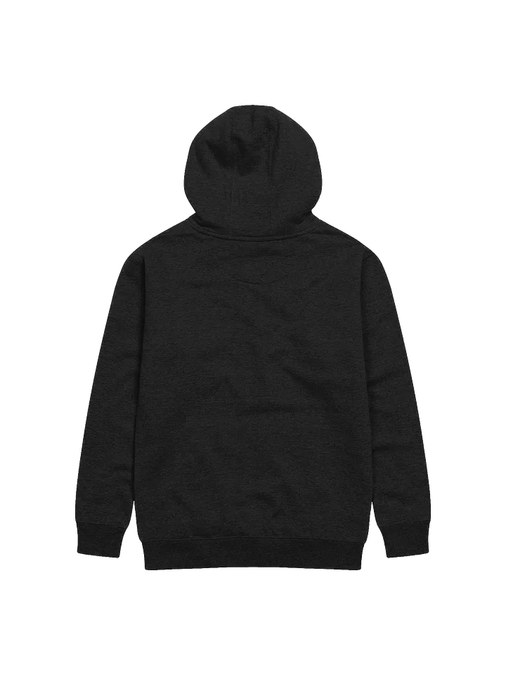 PAG Hoodie product image (2)