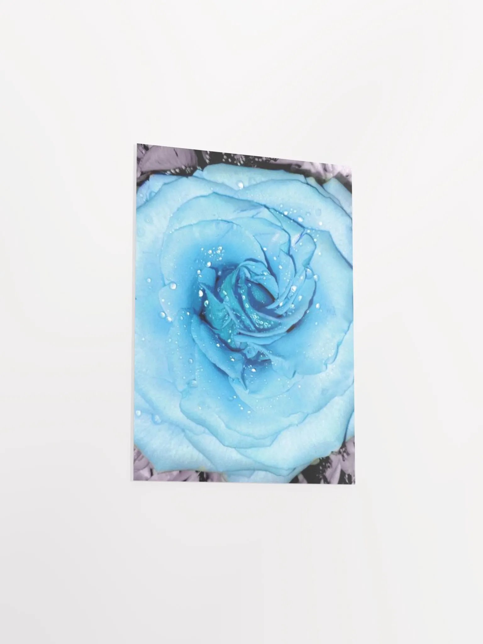 Blue Rose product image (40)