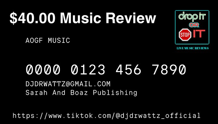 Drop It Or Stop It Music Review And Artist Consult product image (1)