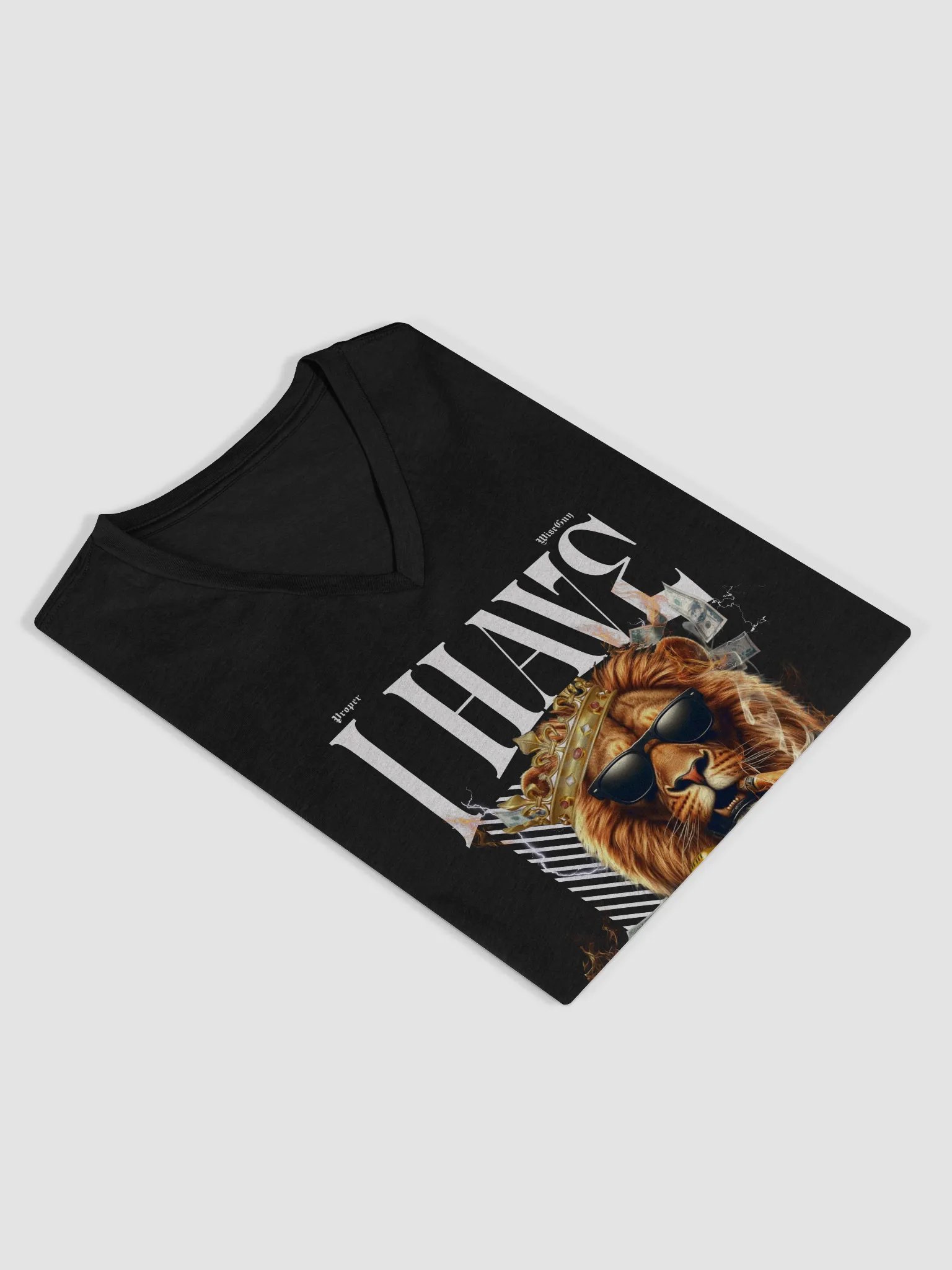 I Have a First Class Ticket Sexy V-Neck product image (4)