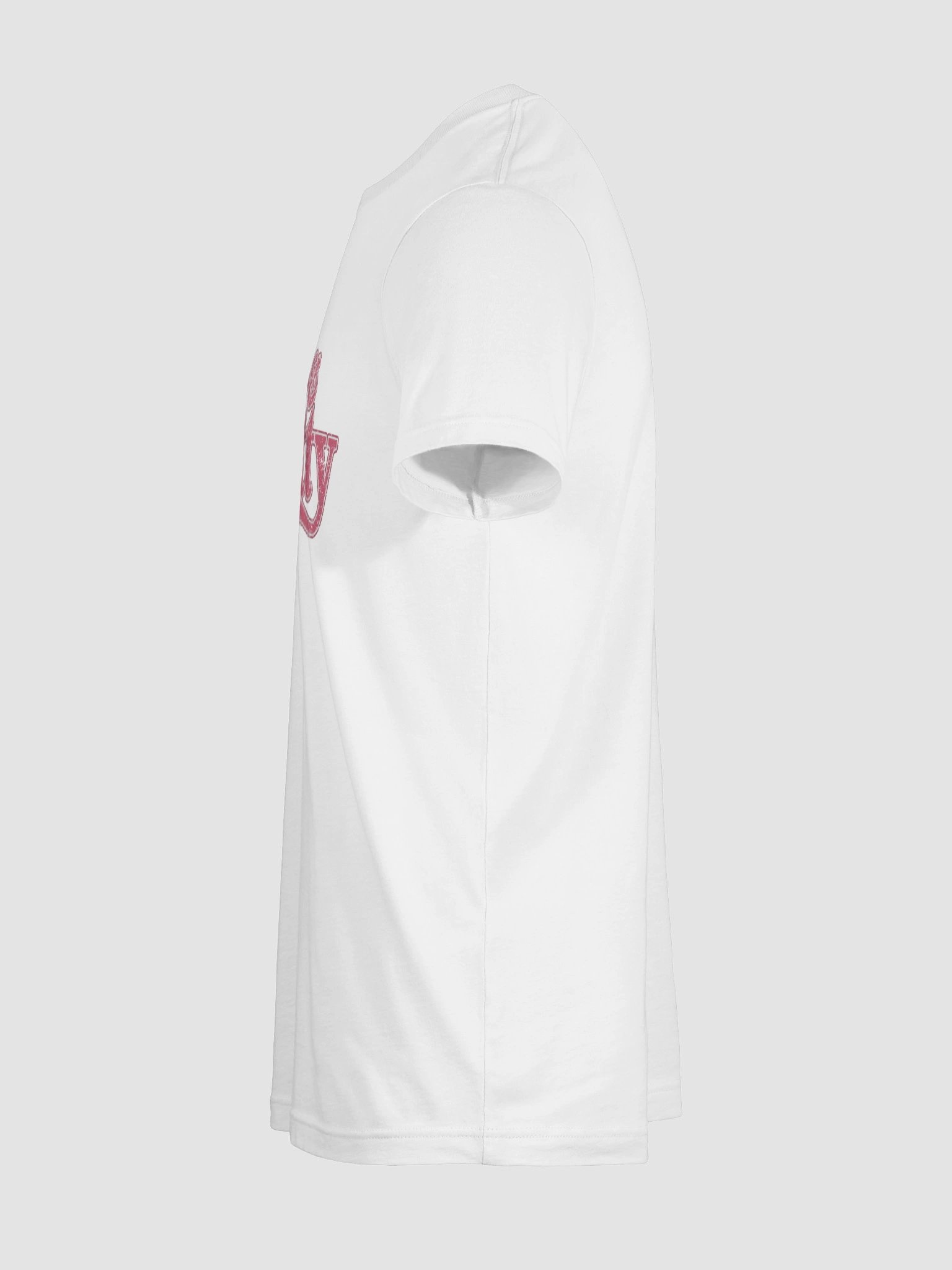 Hot & Pretty Iconic T-Shirt product image (11)
