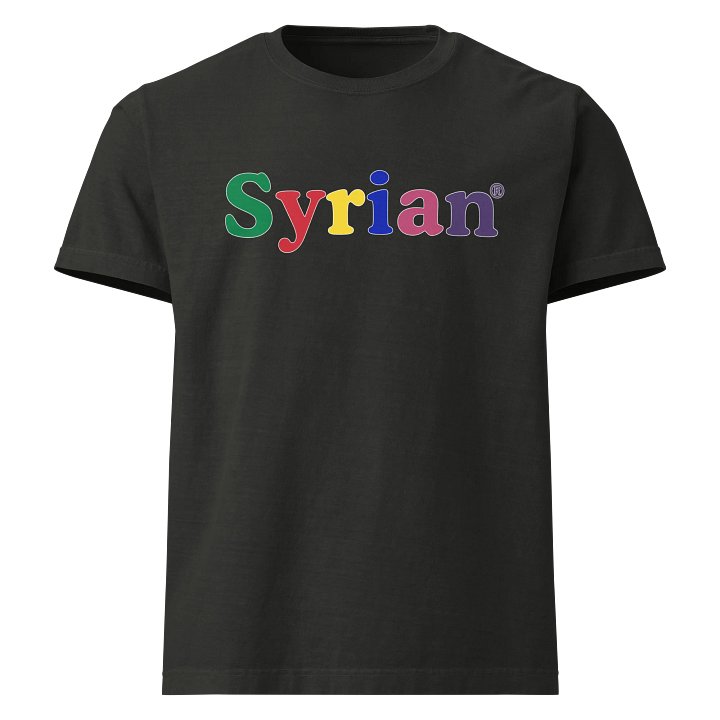 Syrian.com Oversized Unisex T-shirt product image (13)