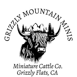 Grizzly Mountain Minis