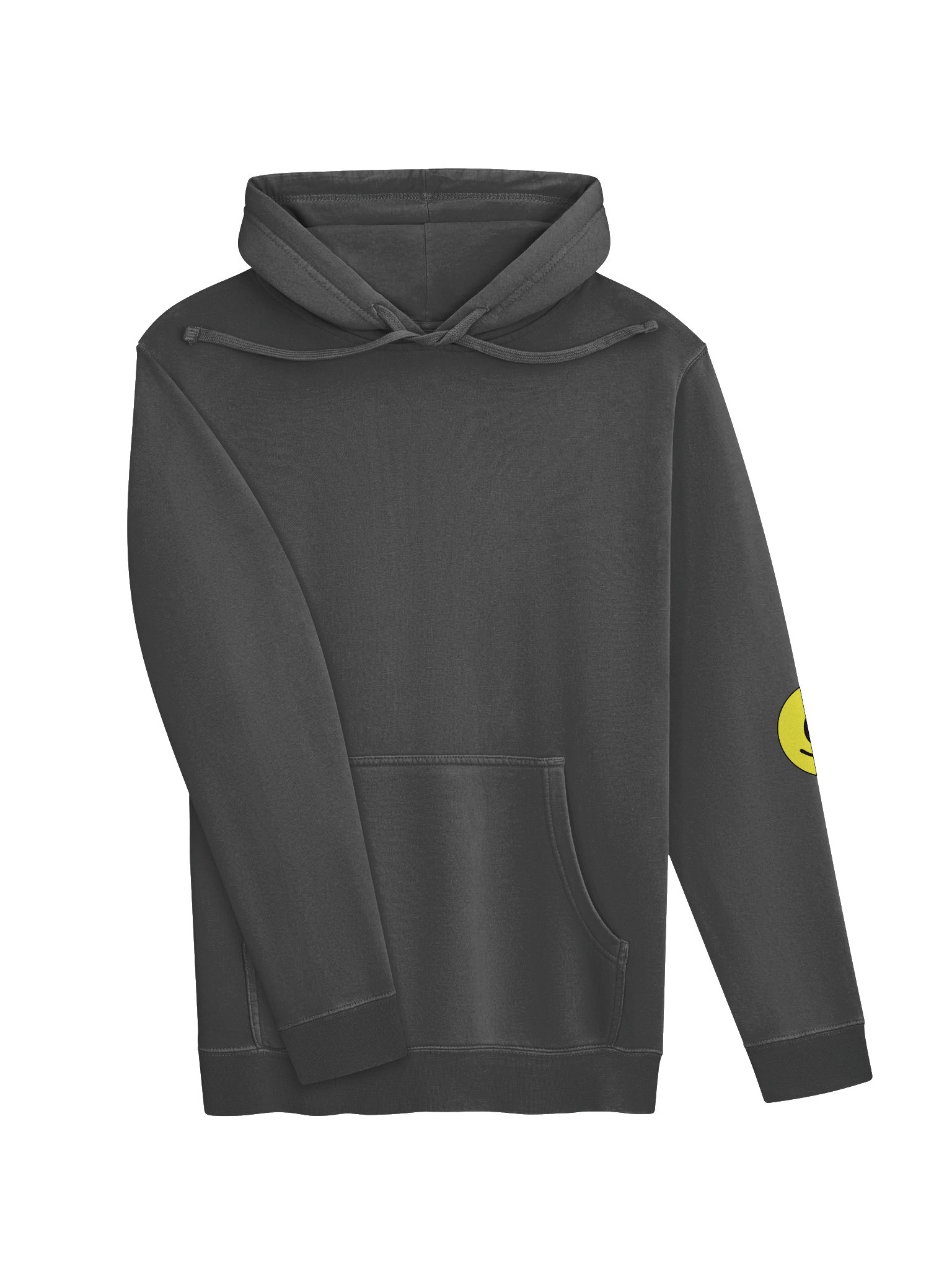 Series II Hoodie product image (3)