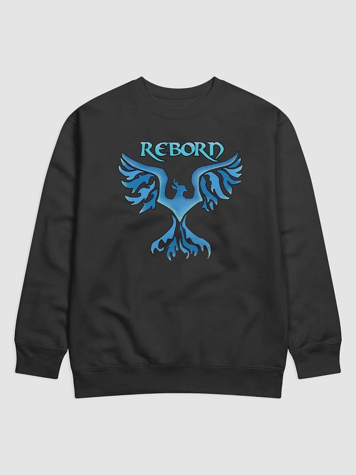 sweatshirt product image (1)