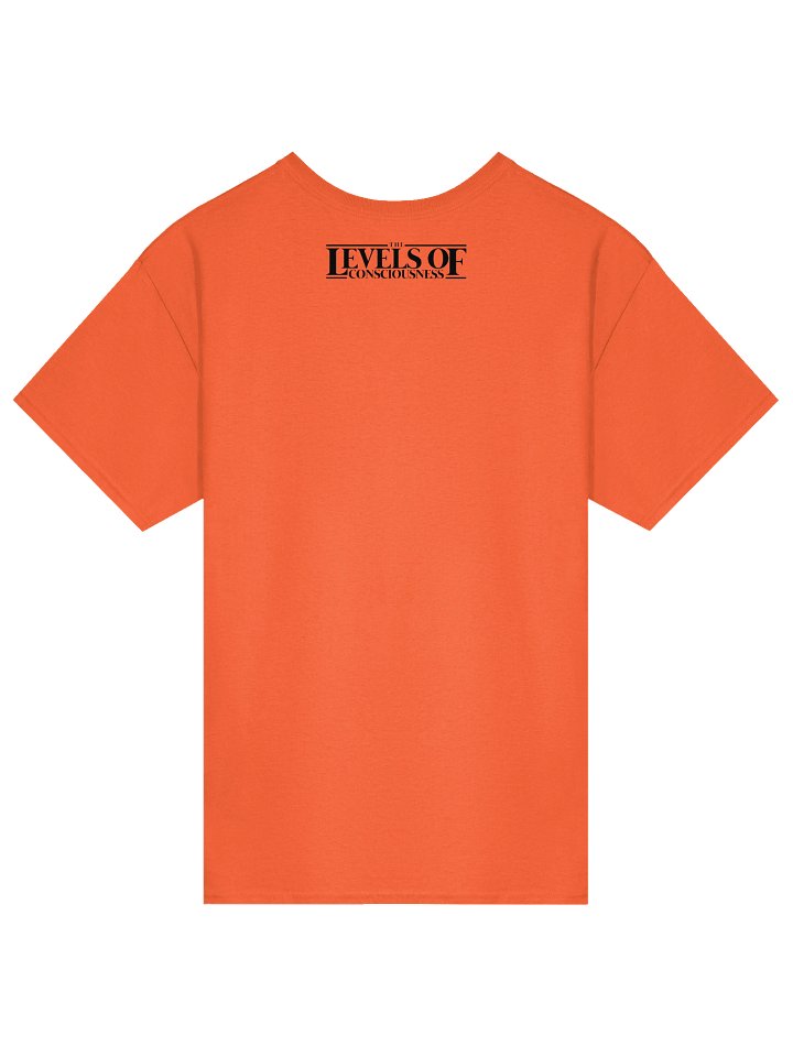How To Pull The Veil Back Tee product image (122)