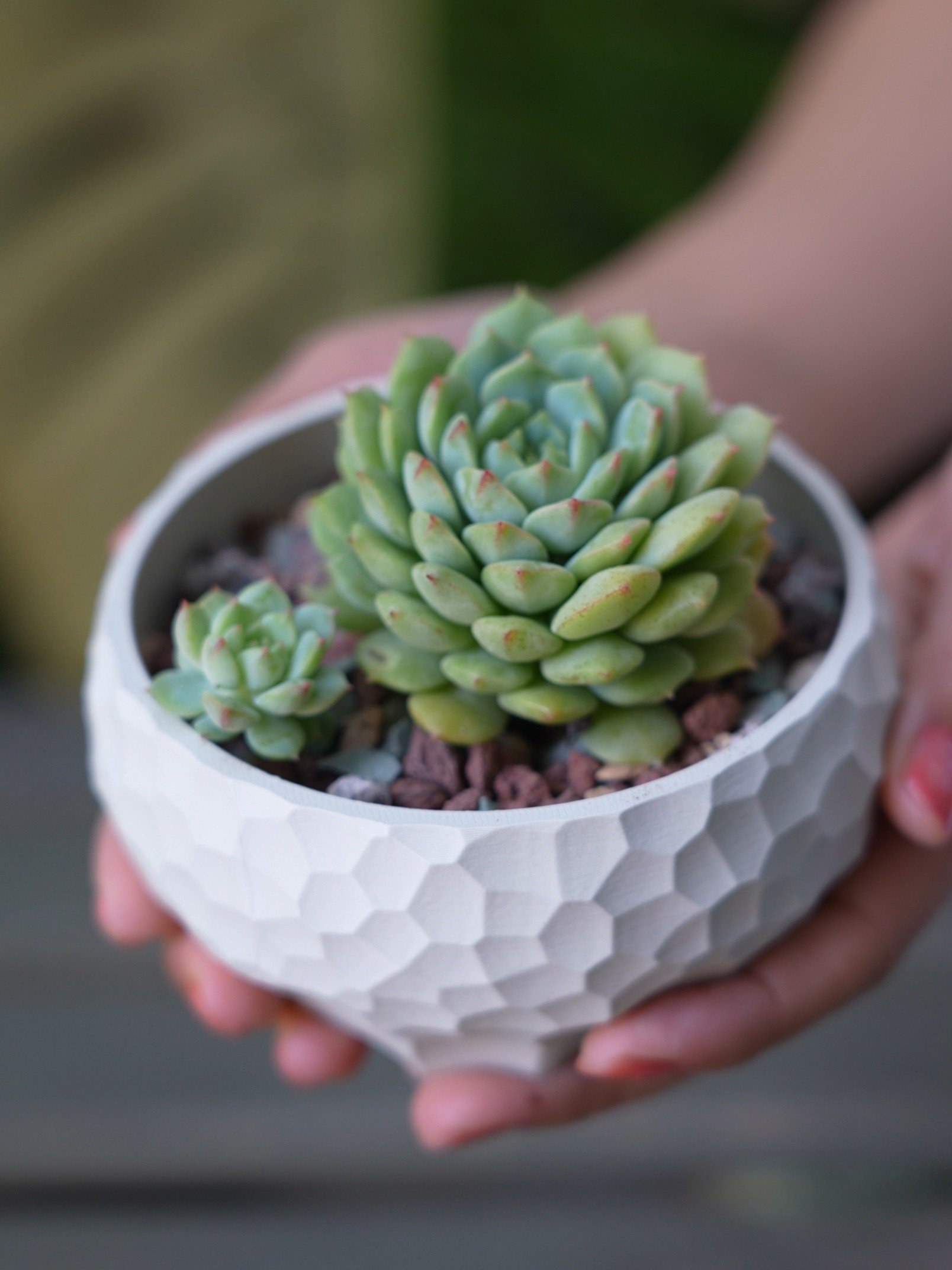 Metal Wave Series - Planter 02 product image (2)