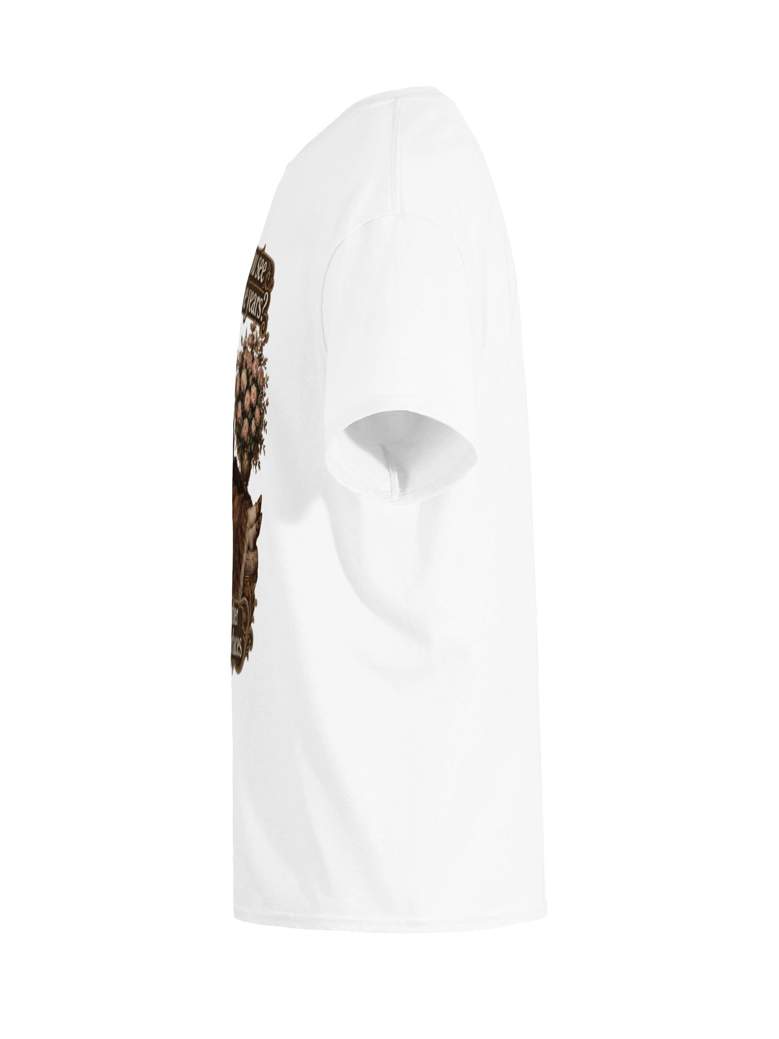 In 5 years product image (5)