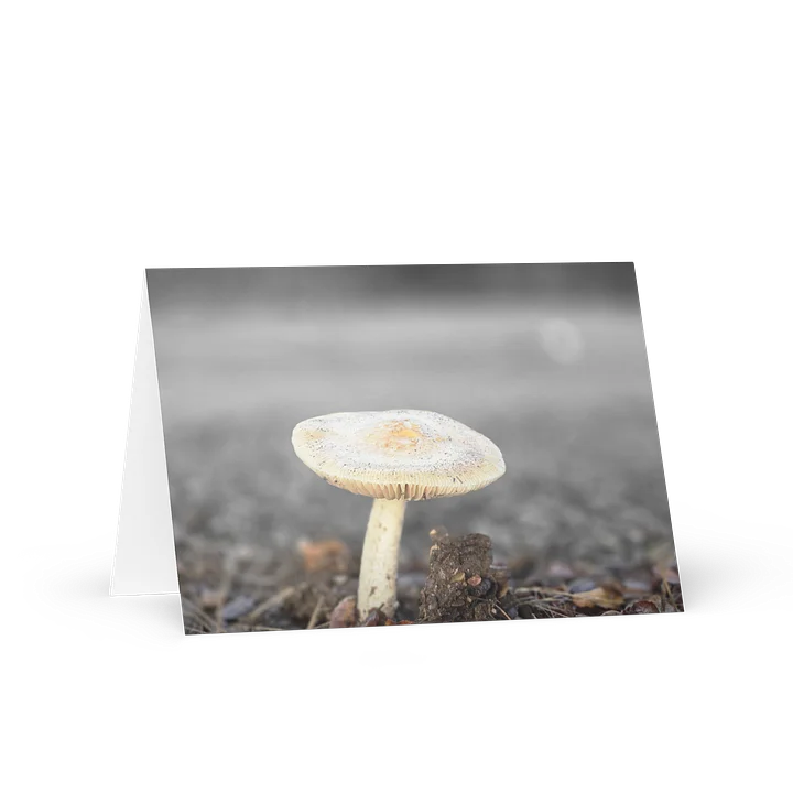Lone Mushroom Greeting Card product image (1)