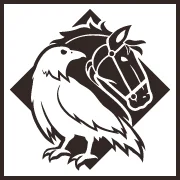 Whiteraven Equestrian - Helping You Help Your Horse