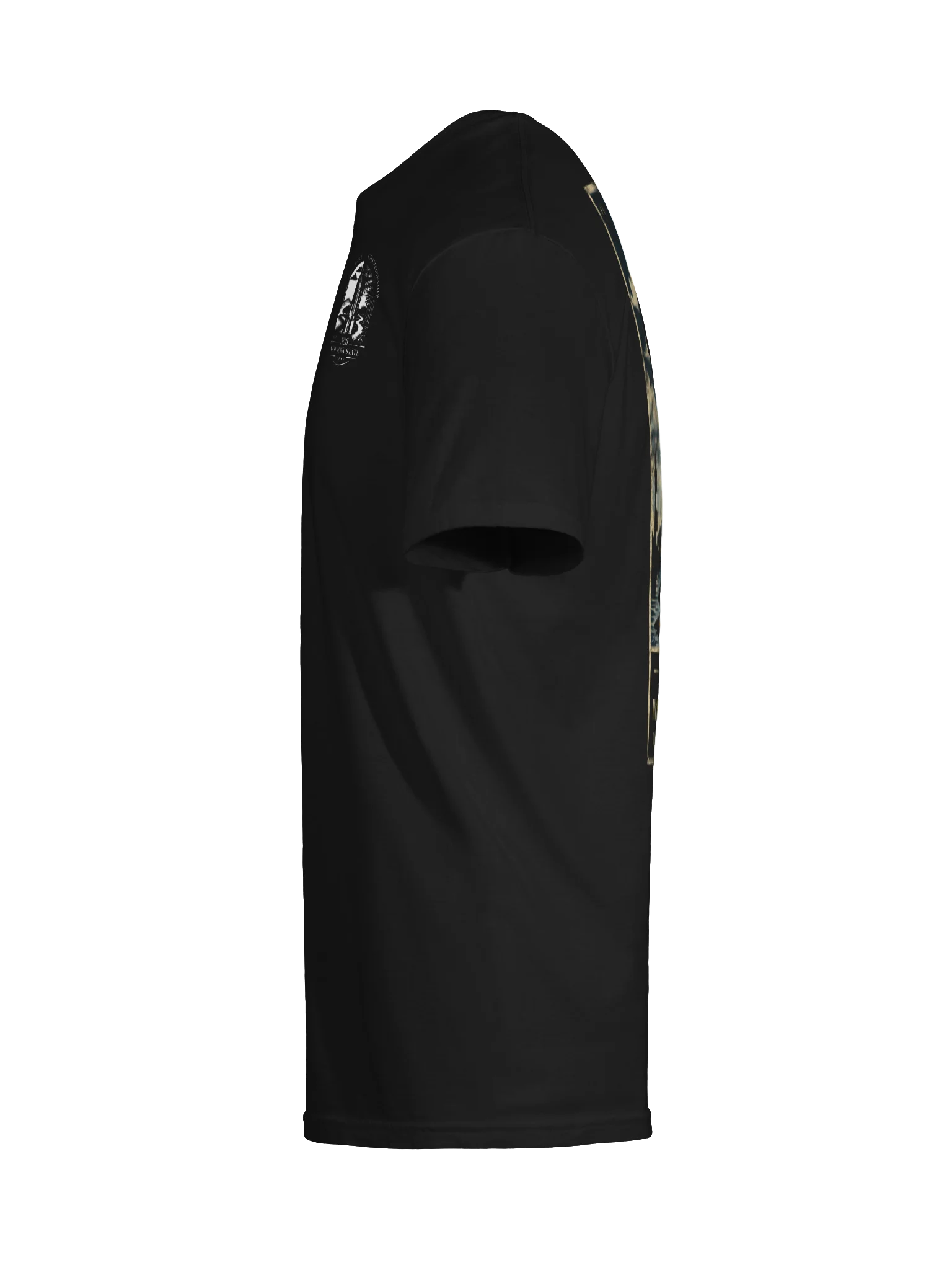 New York State Disc Golf Championship – T-Shirt (Dark) product image (9)