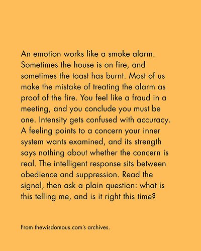 Panic mistakes the siren for the solution, but a loud warning is not an explanation. When instinct flares and pressure mounts...