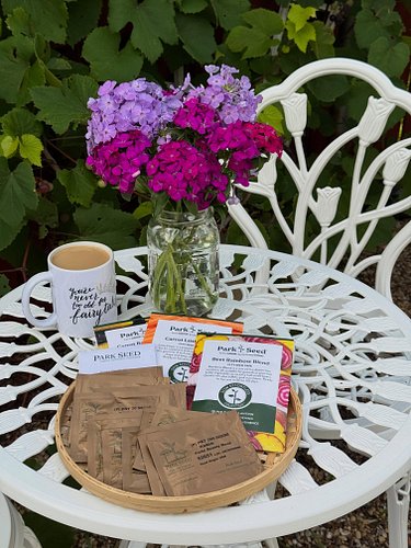 I’m planning my fall garden this morning! Have you ever tried seed tape?! I can’t wait to play with this. I really struggle w...
