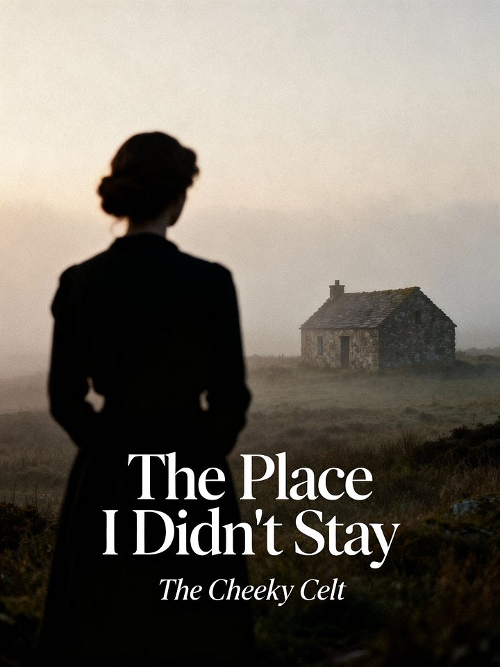 The Place I Didn't Stay product image (1)
