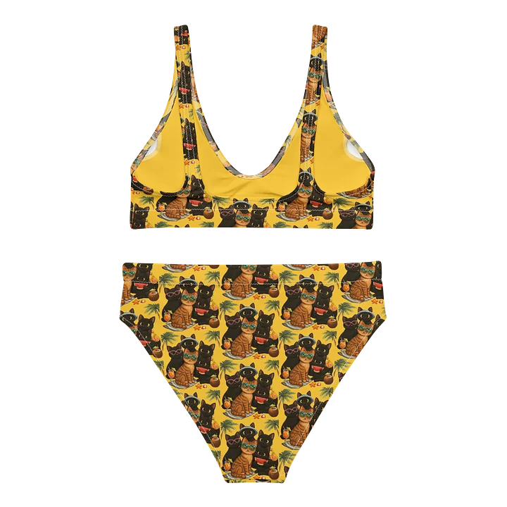 Cat Brigade summer High-Waisted Bikini Set product image (2)