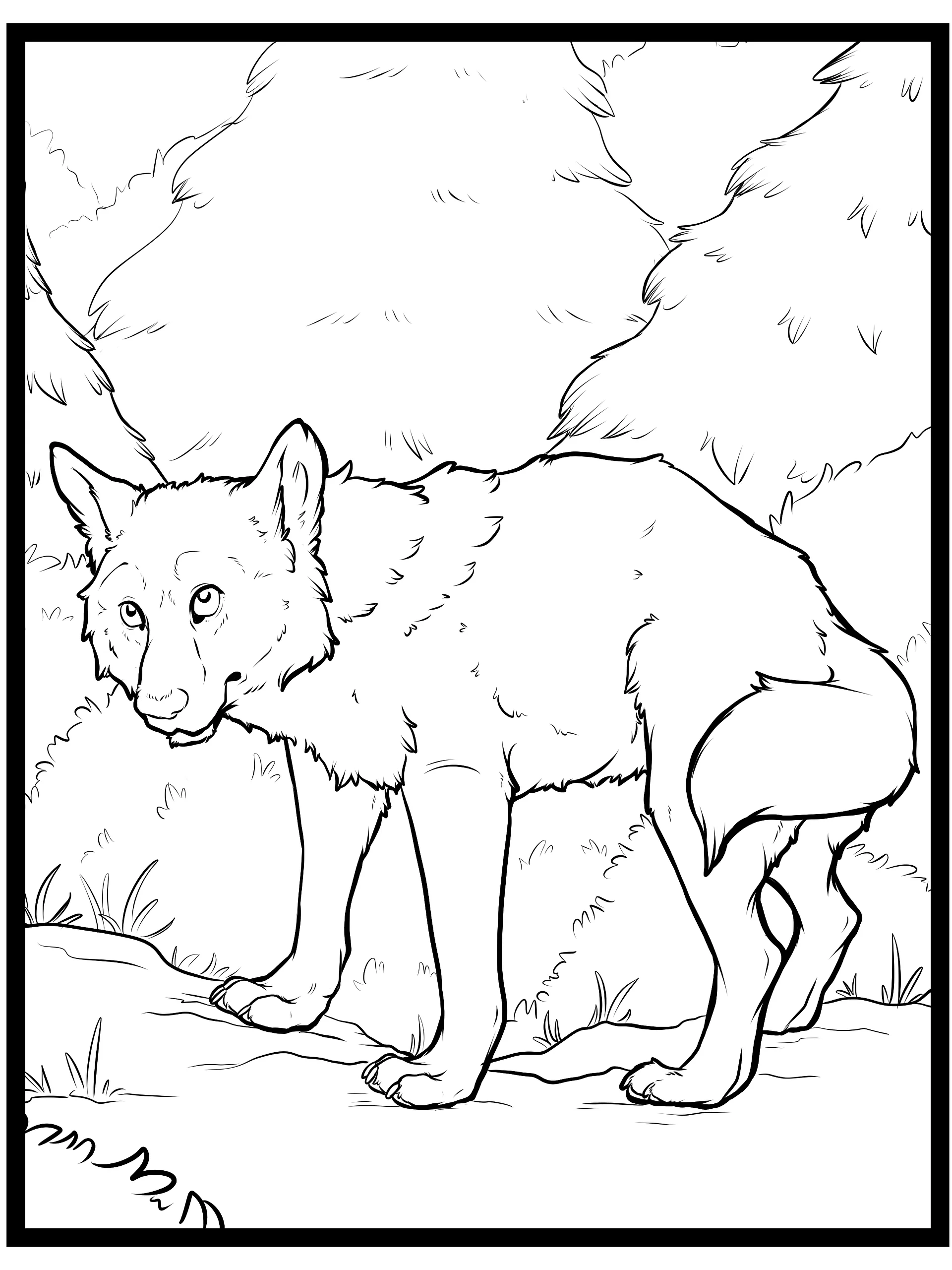 Mexican Grey Wolf - Coloring pages product image (2)