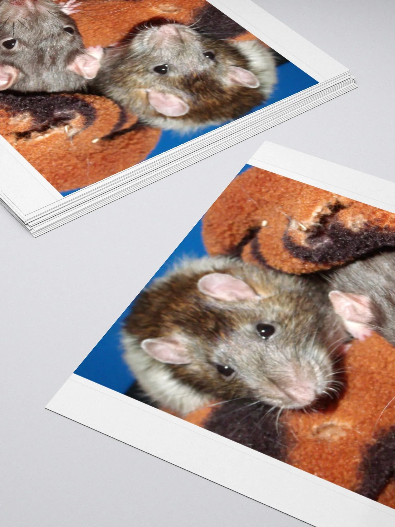 Cute rats sticker product image (10)