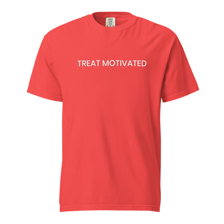 Treat Motivated Comfort Colors Tee product image (29)