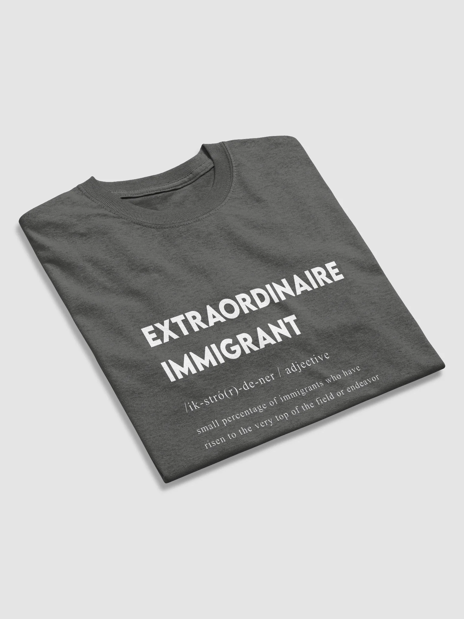 EXTRAORDINAIRE IMMIGRANT TSHIRT CHARCOL product image (2)