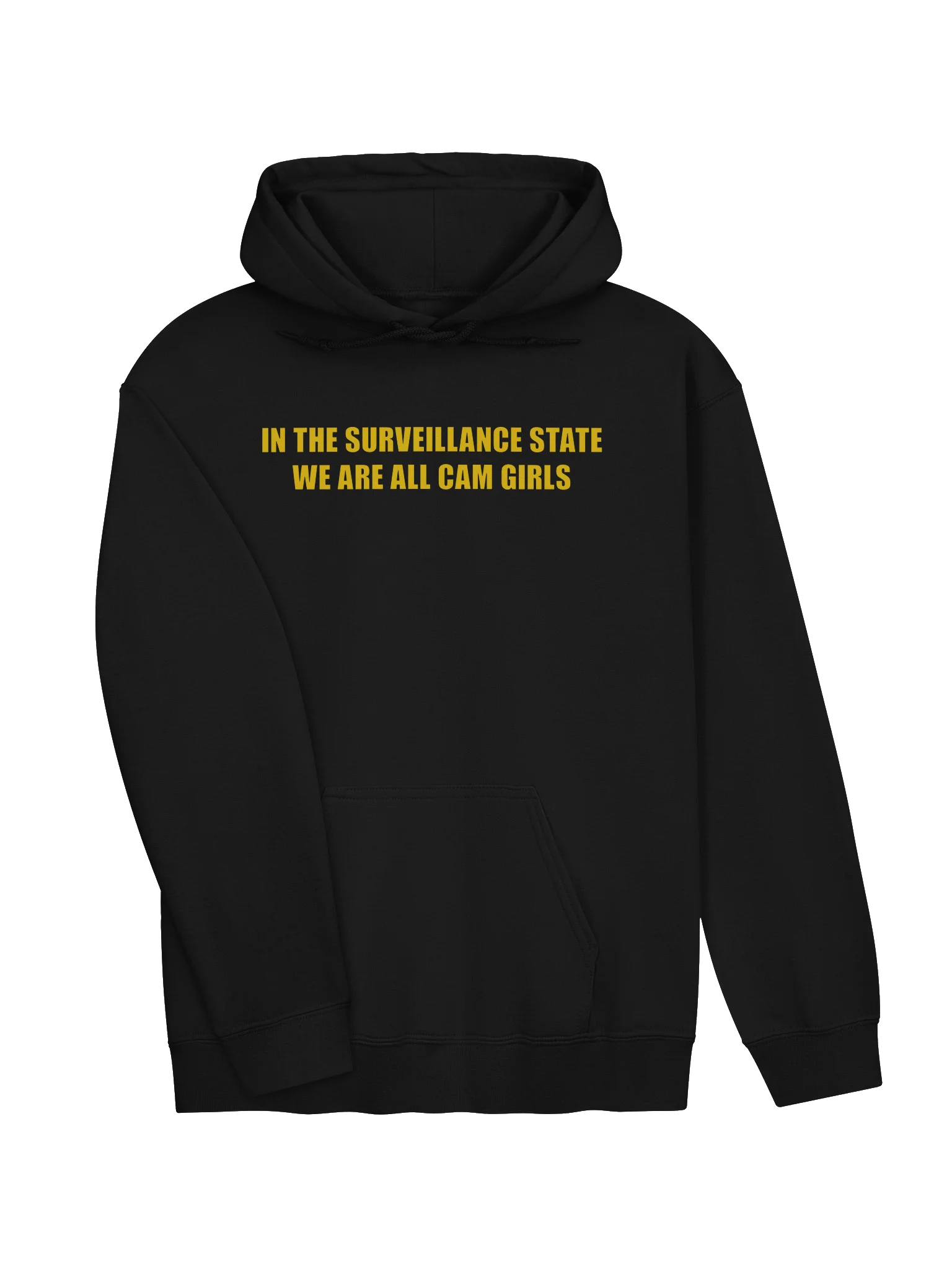 IN THE SURVEILLANCE STATE WE ARE ALL CAM GIRLS product image (29)