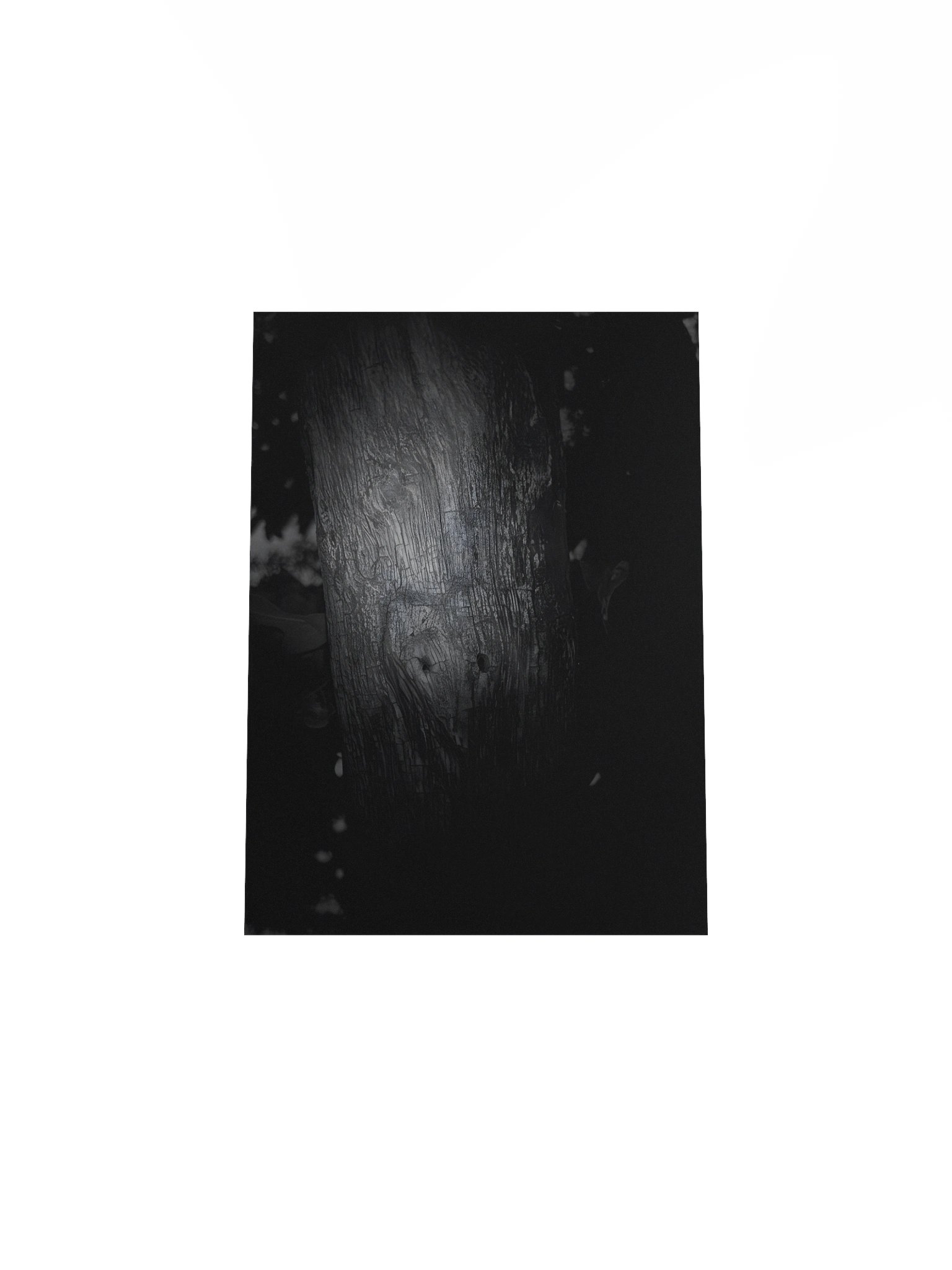 The carving (real image) poster product image (31)