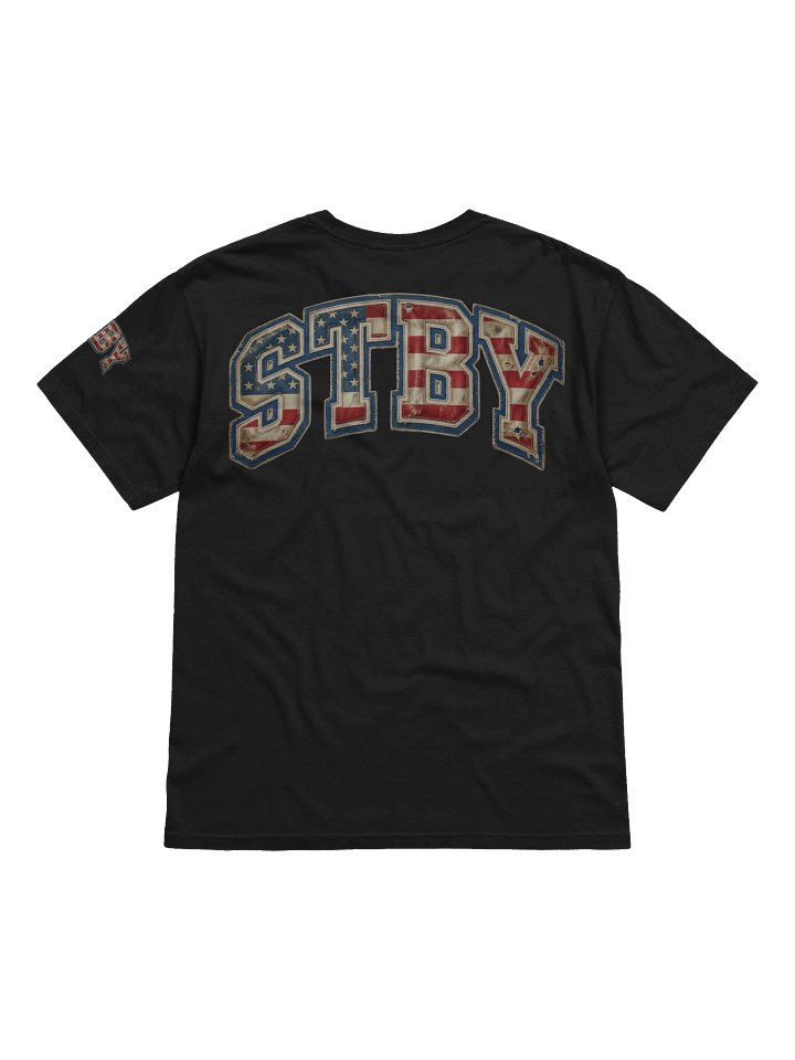STBY American Flag Stitched T-Shirt product image (15)
