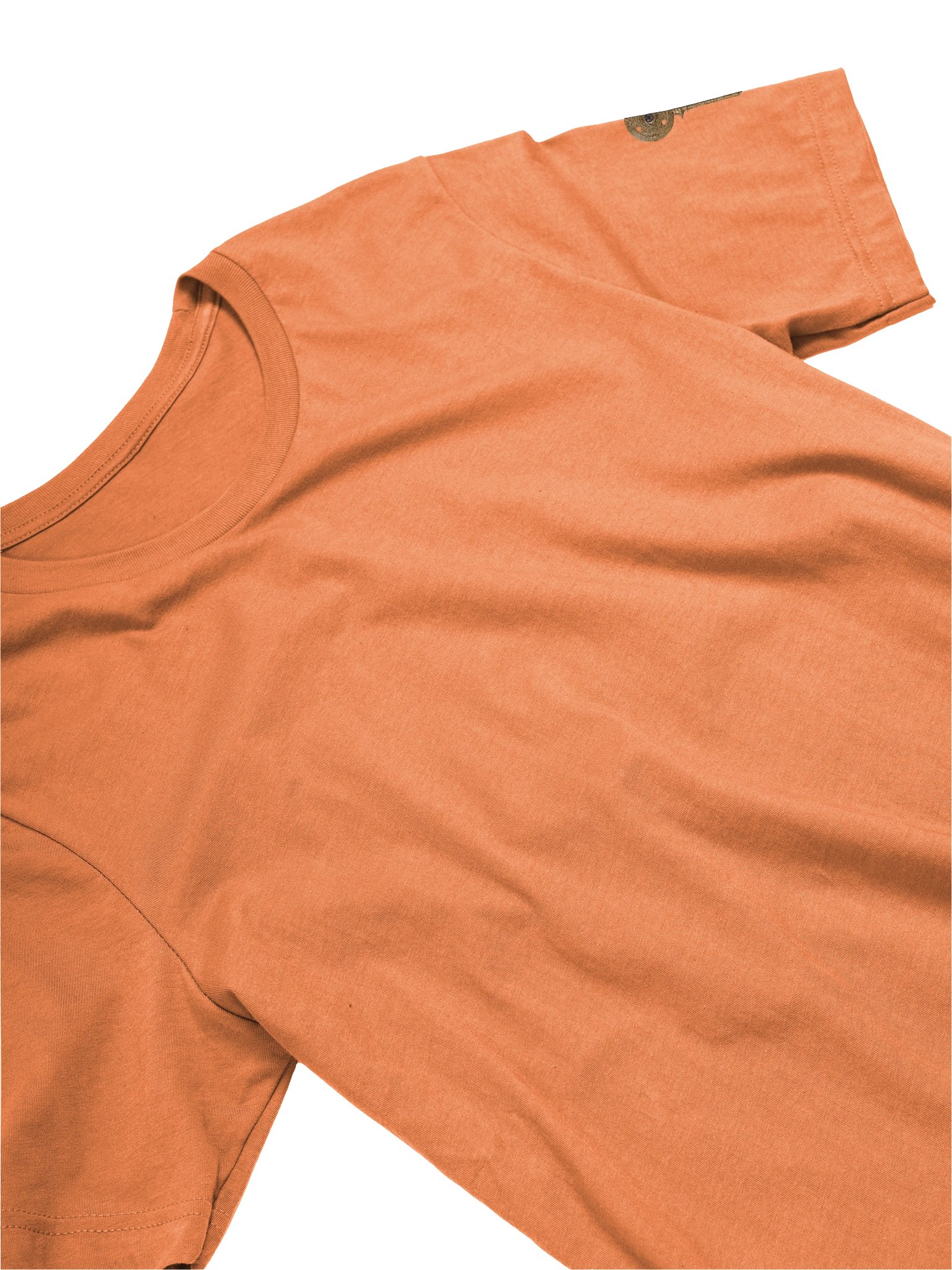 The Gatekeeper’s Key Classic T-Shirt – Back & Left Shoulder Print | Burnt Orange | Bella+Canvas 3001 product image (3)