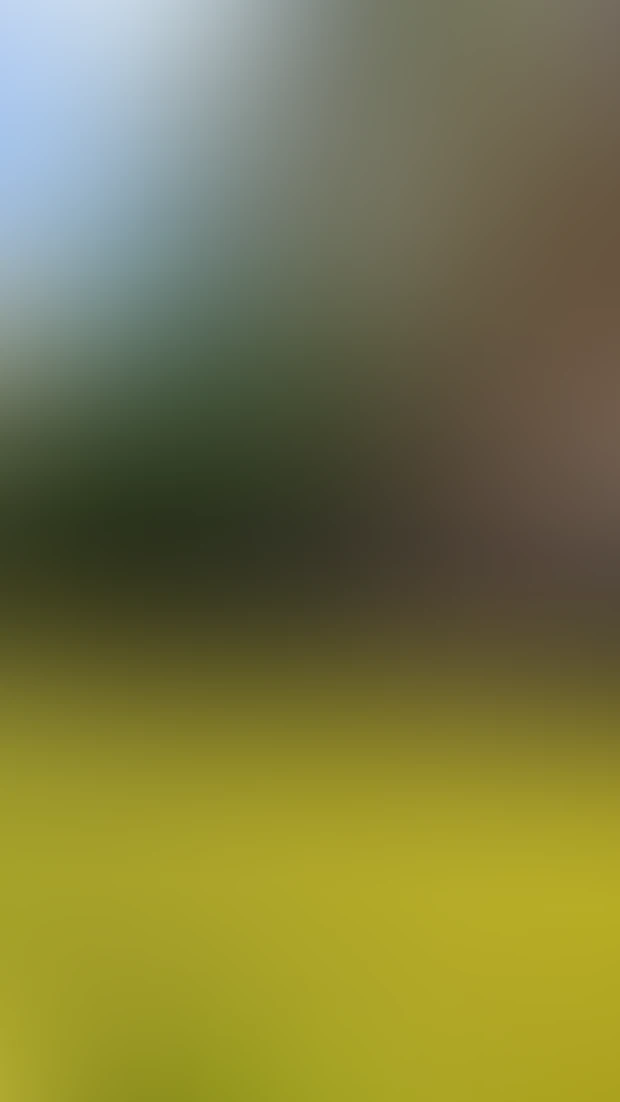 Video thumbnail background