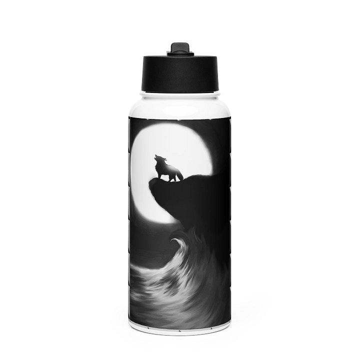 Stainless Steel Water Bottle with a Straw Lid product image (1)