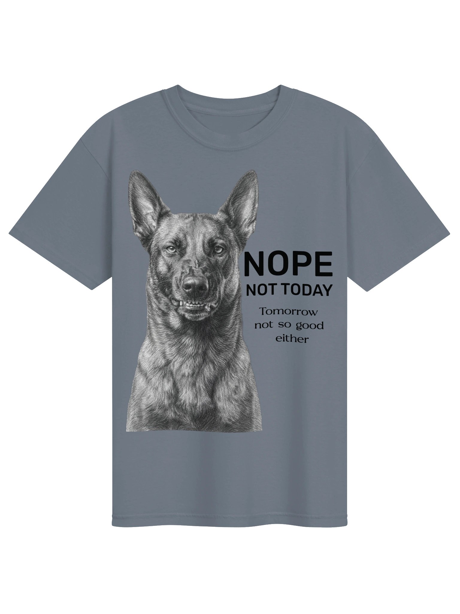 Nope Not Today product image (49)