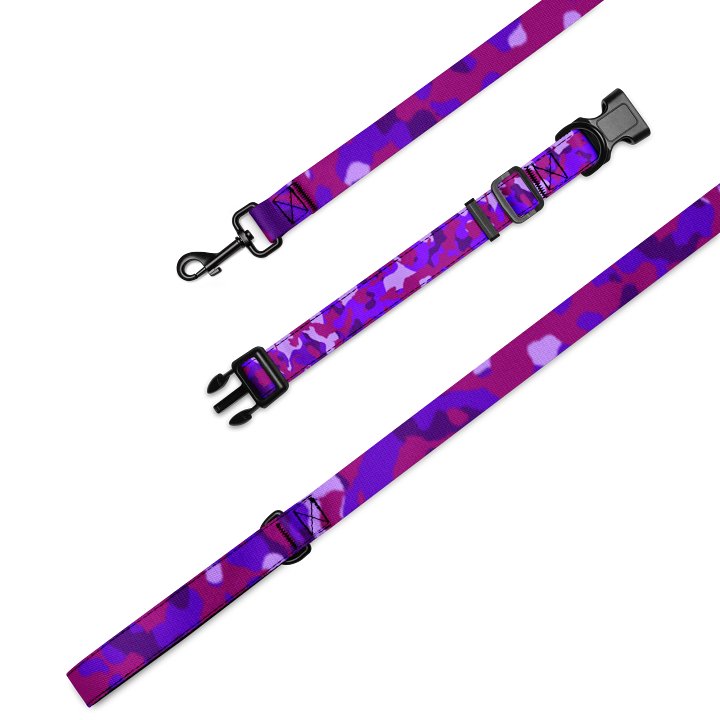 MADFLKTRN Leash and Collar product image (1)