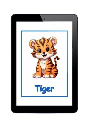 Digital Flashcards Bundle product image (4)