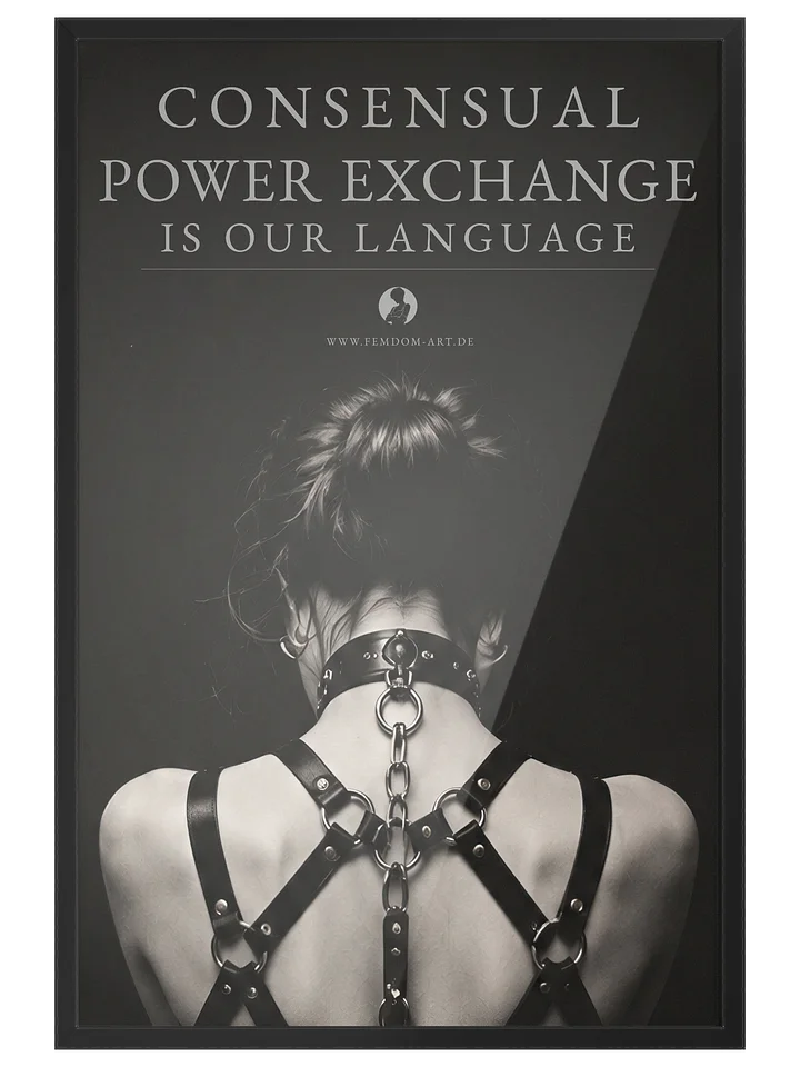 Consensual Power Exchange – Vertrauen und Hingabe product image (1)