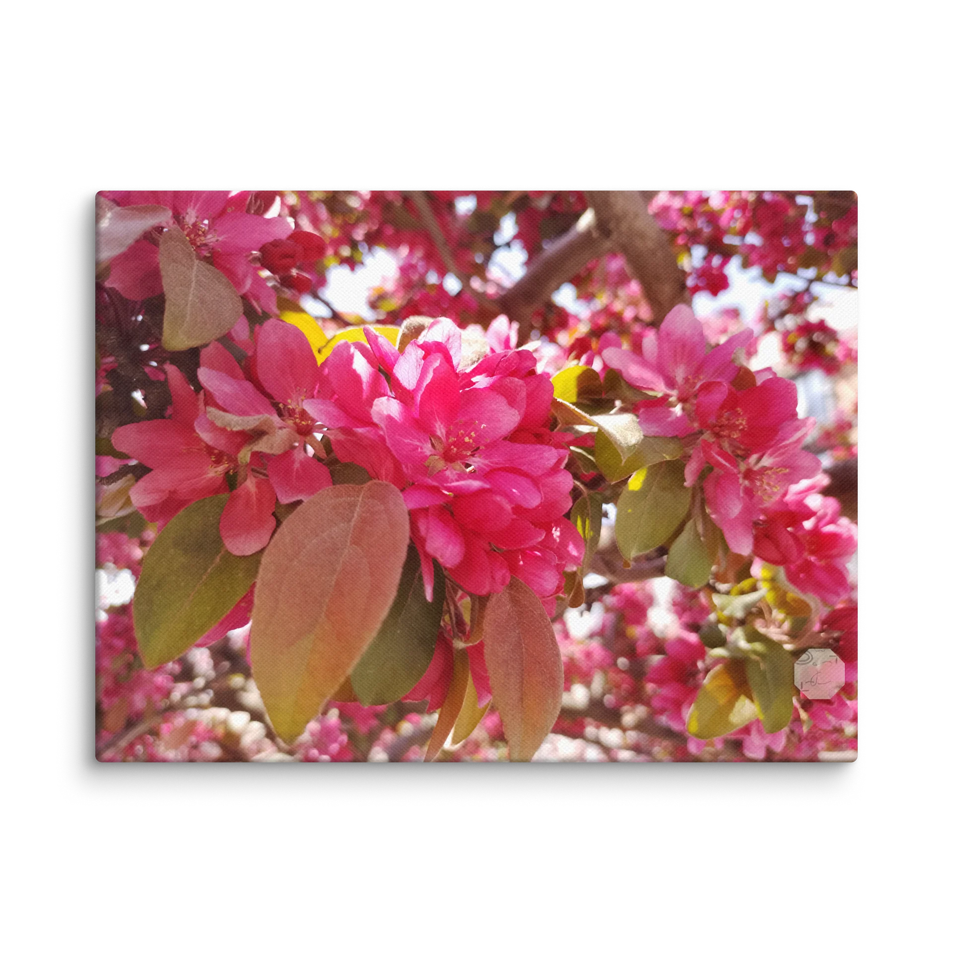 Ethereal Magenta Spring Blossoms – Canvas Fine Art product image (2)