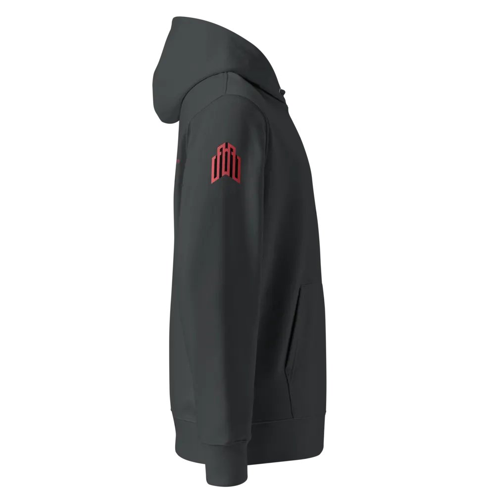 MZSG HOODIE product image (4)