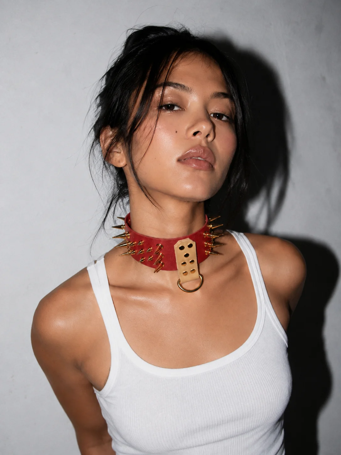 The Crimson Testament Signature Collar