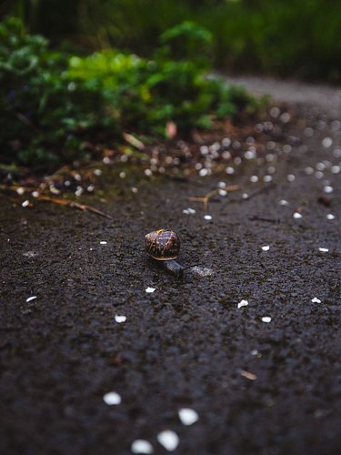 I’m slowing way down, in all the places I can afford to. 

Despite being horribly overwhelmed with social media constantly fe...