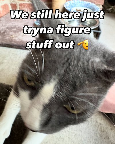 Looking into tik tok shop and instagram shop integration…
.
We may have cooked on our next designs prolly gonna drop in the n...