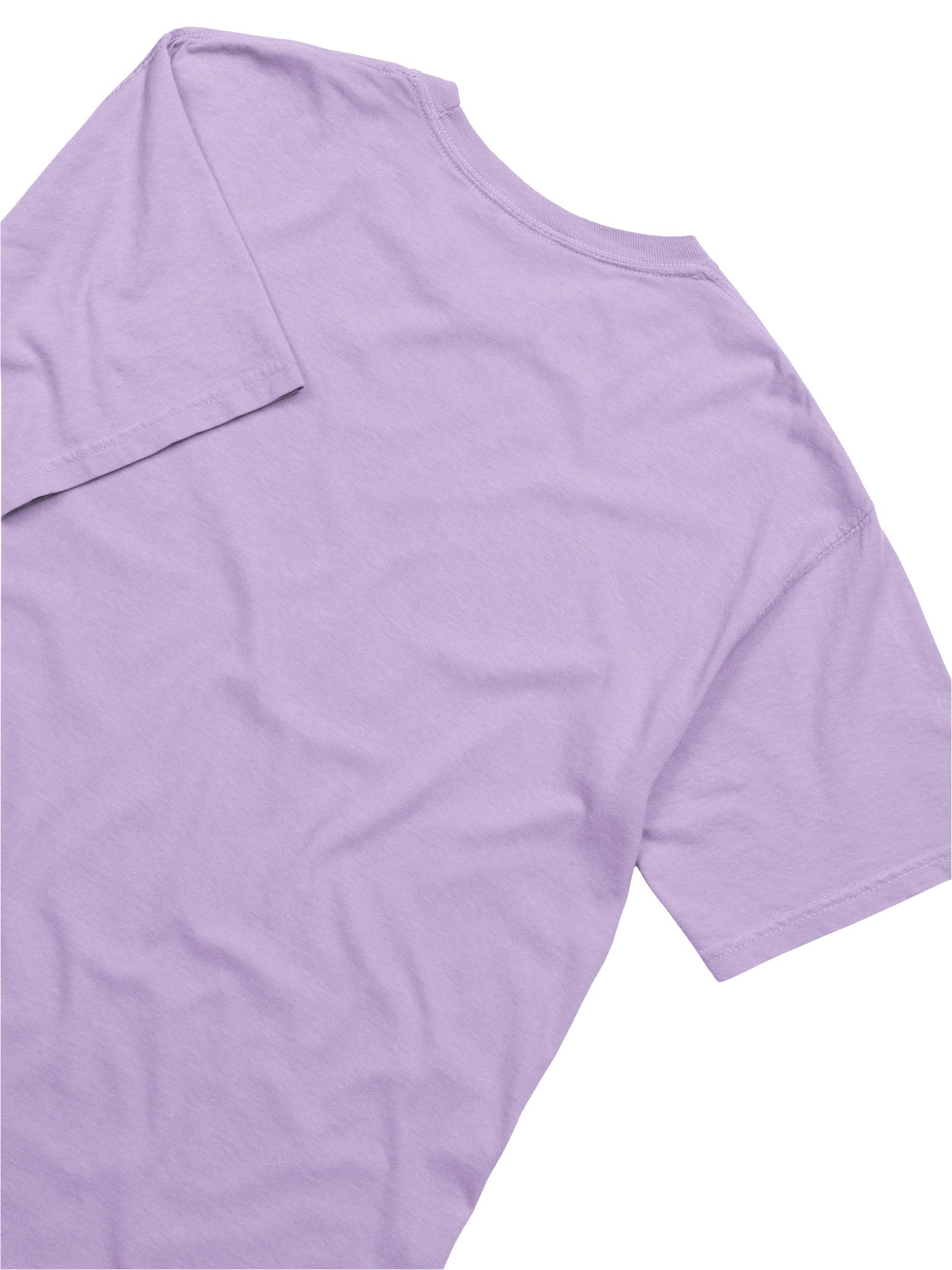 Droolius Caesar T-Shirt(Embroidered) of a Boxer(Red & White, Cropped Ears & Docked Tail) product image (9)