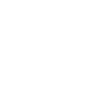 Wali
