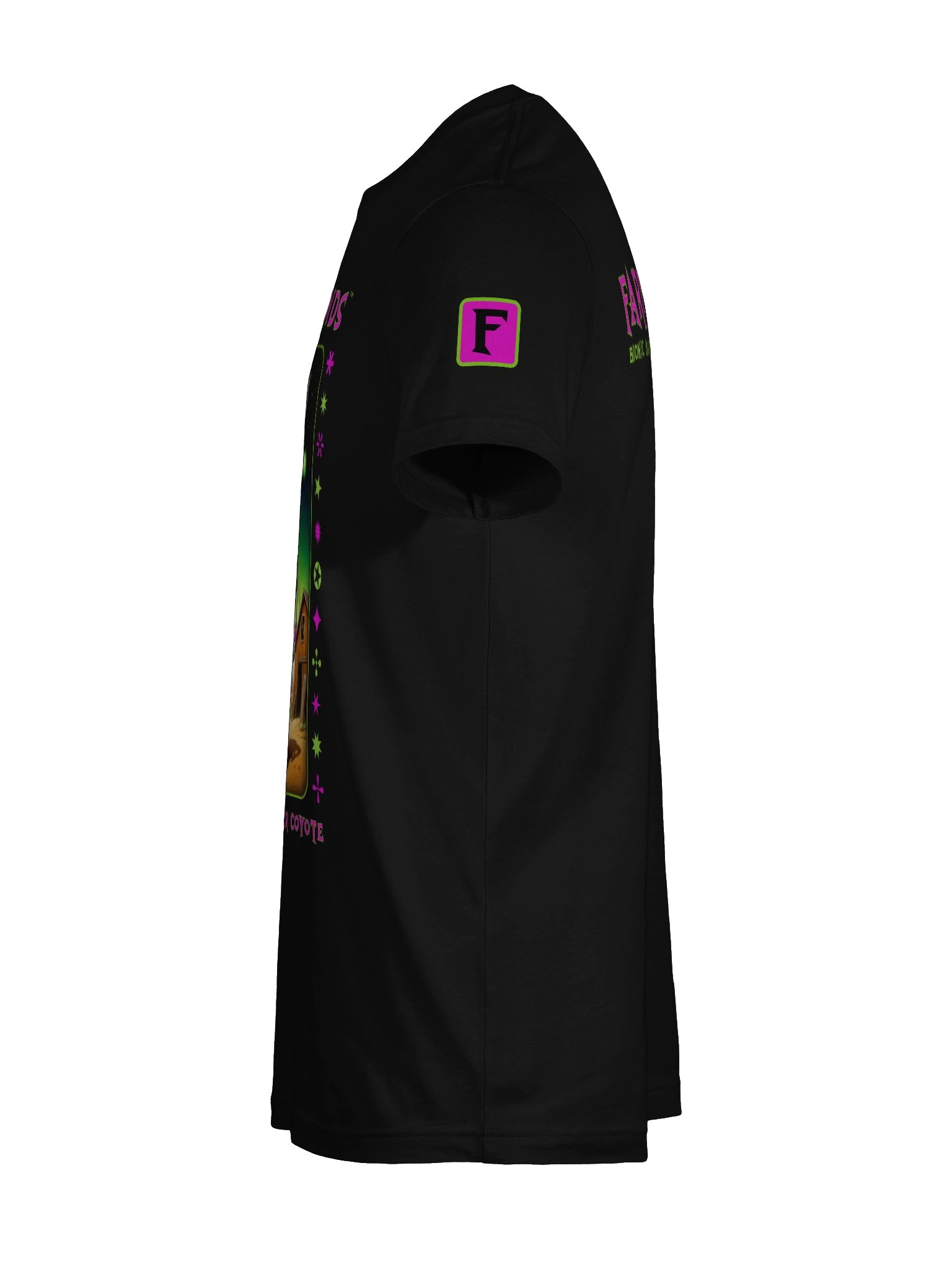 Jody the Cyber Coyote product image (8)