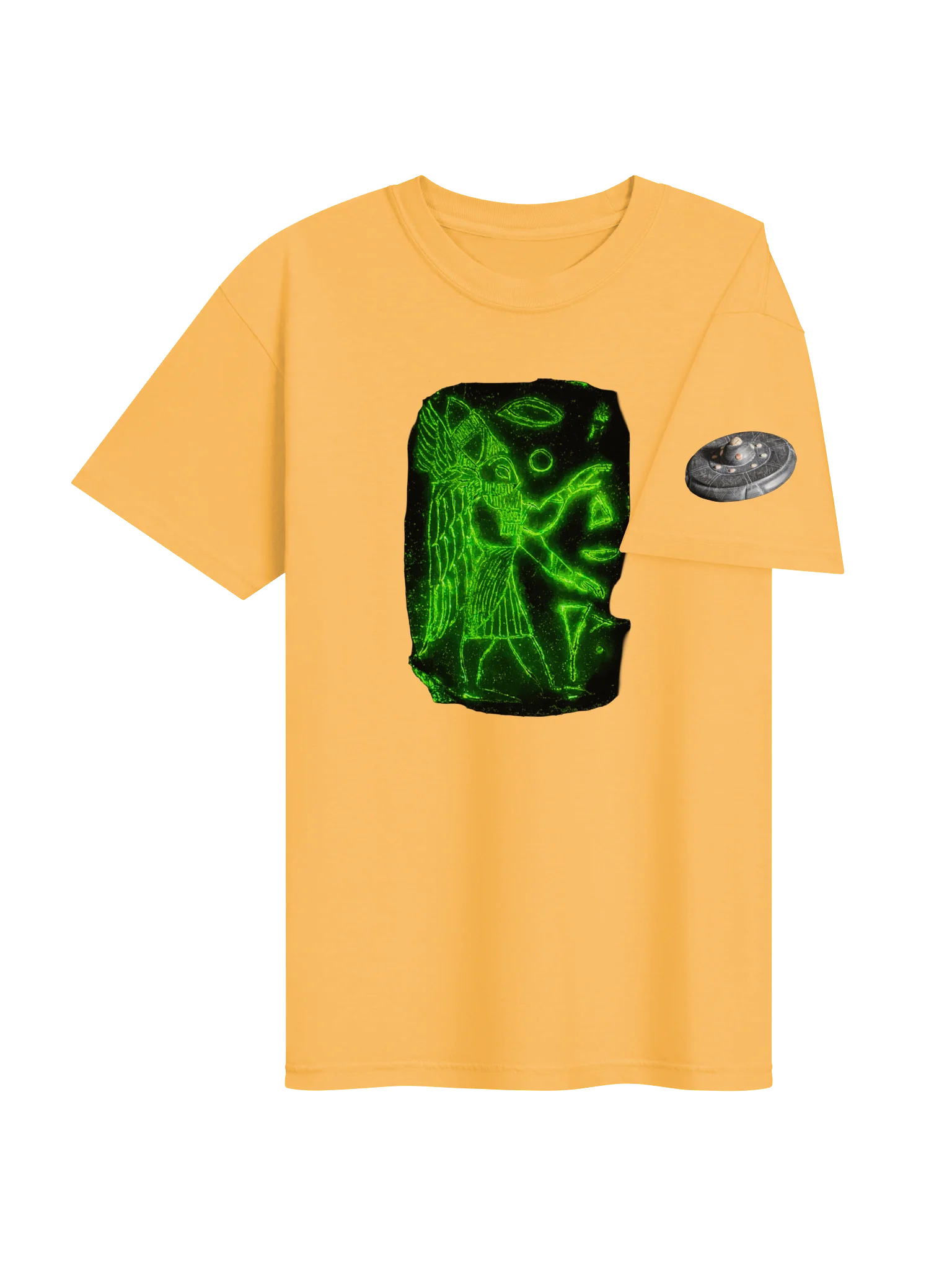 Project Disclosure Premium T-Shirt product image (4)
