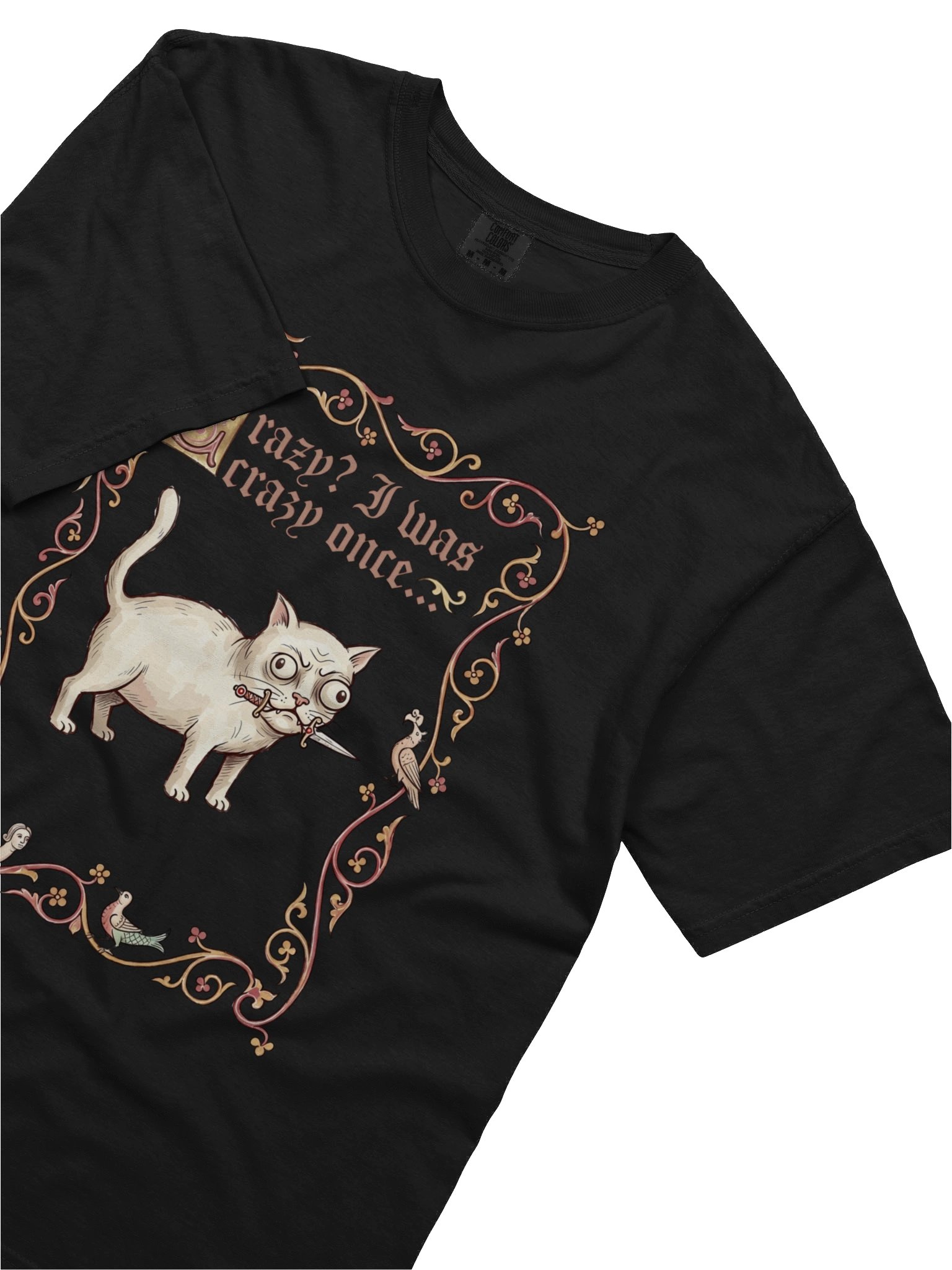 Crazy? I Was Crazy Once... Cat T-Shirt product image (2)