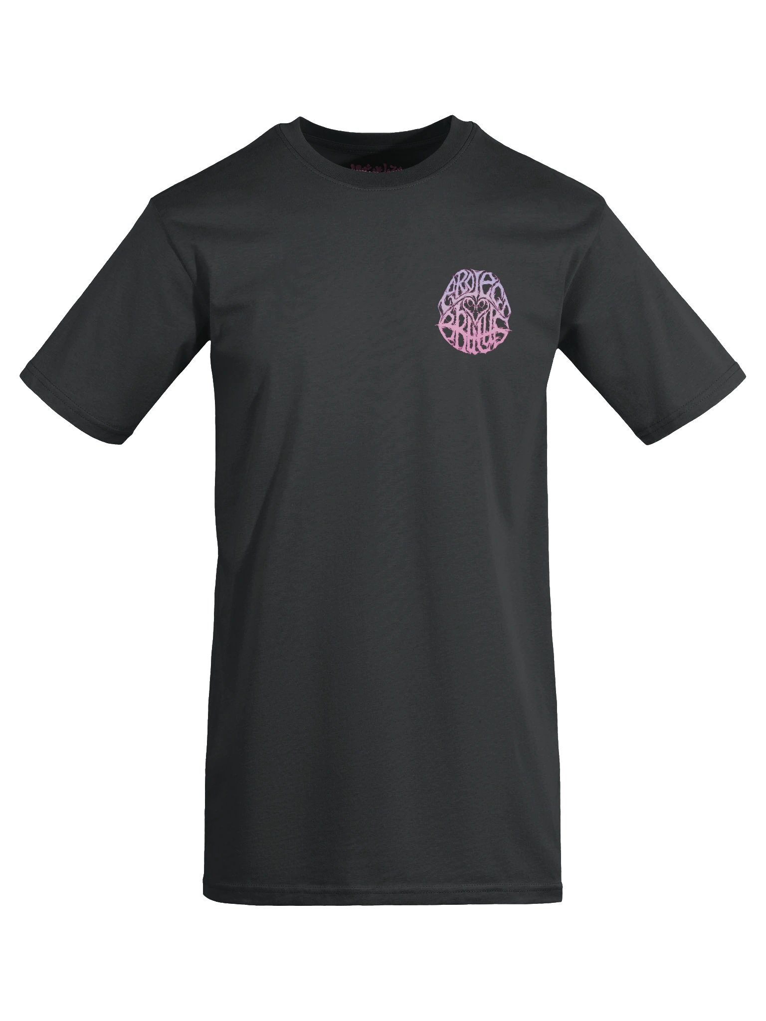 Ombre Logo Tee [back] product image (7)