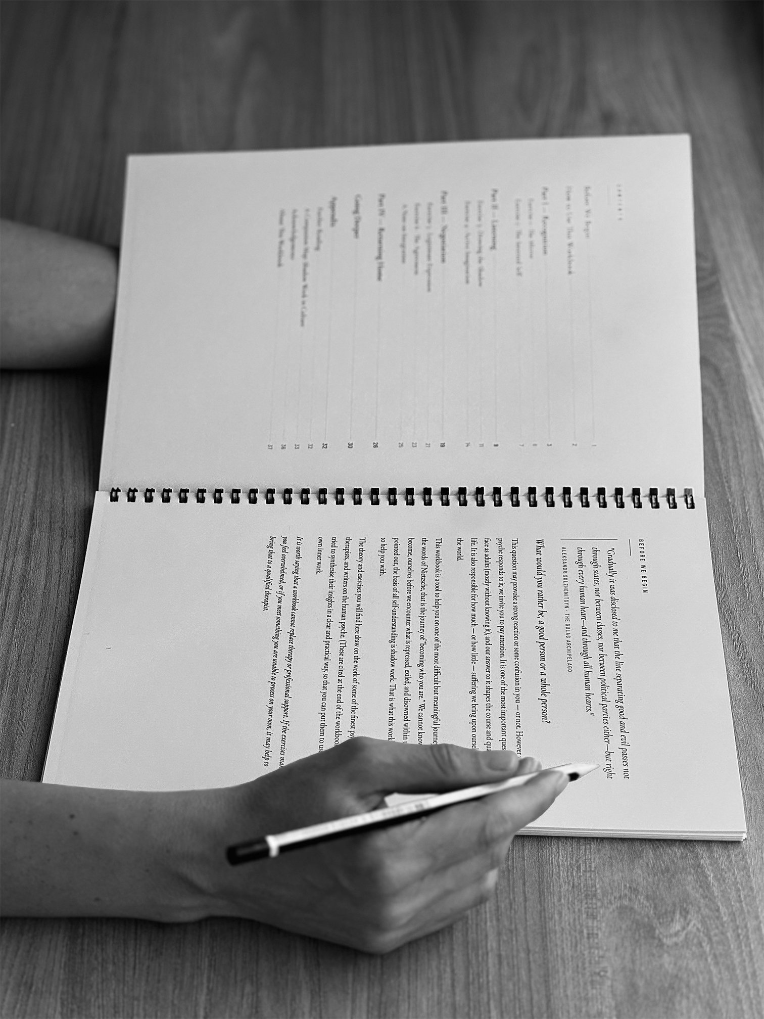 Shadow Workbook product image (3)