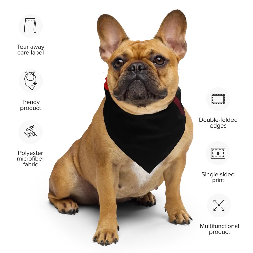 WS Bandana With Pattern product image (8)