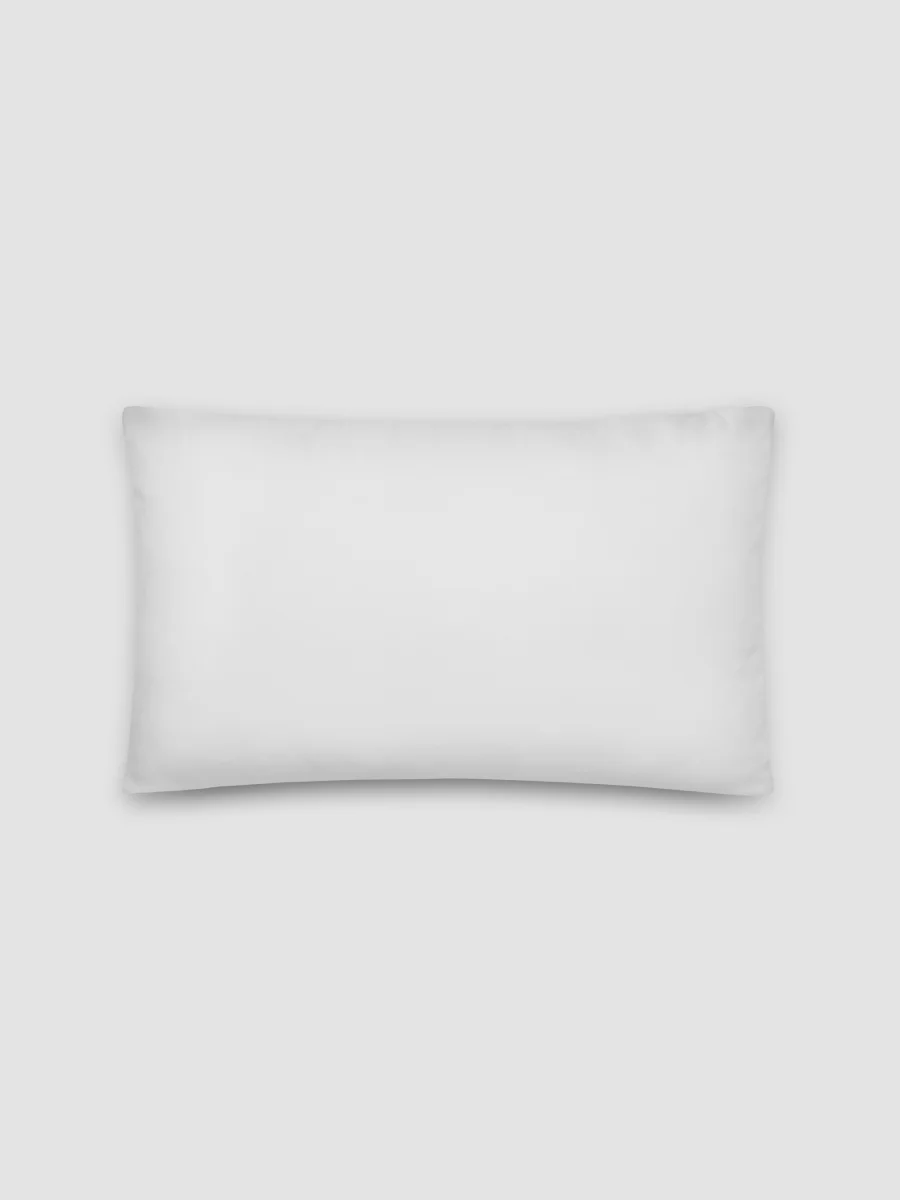 The Coordinates Pillow product image (3)