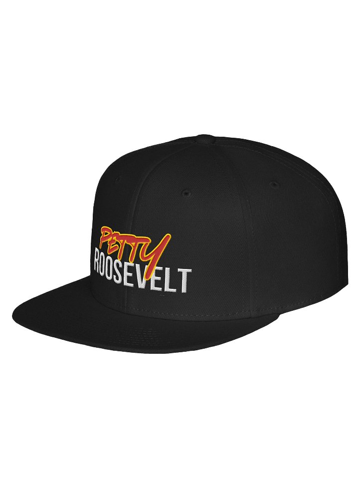 Petty Roosevelt Snap Back Hat product image (2)